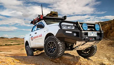 Protection & Bull Bars